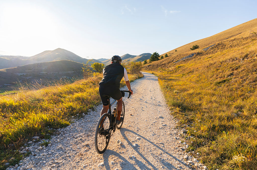 Alpine Heath Bicycle Hire